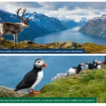 Wildlife Conservation Norway
