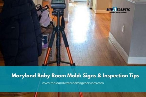 Mold in a Baby's Room in Maryland