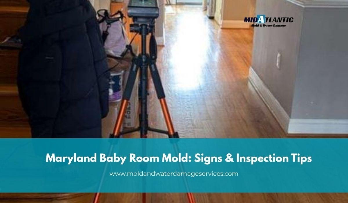 Mold in a Baby's Room in Maryland